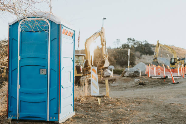 Best Local porta potty services  in Western Springs, IL
