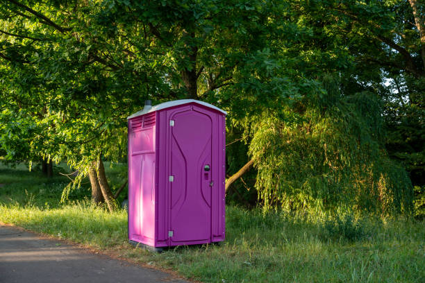Portable Toilet Options We Offer in Western Springs, IL